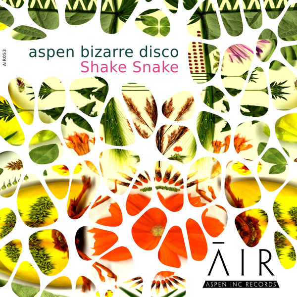 aspen bizarre disco - Shake Snake [AIR053]